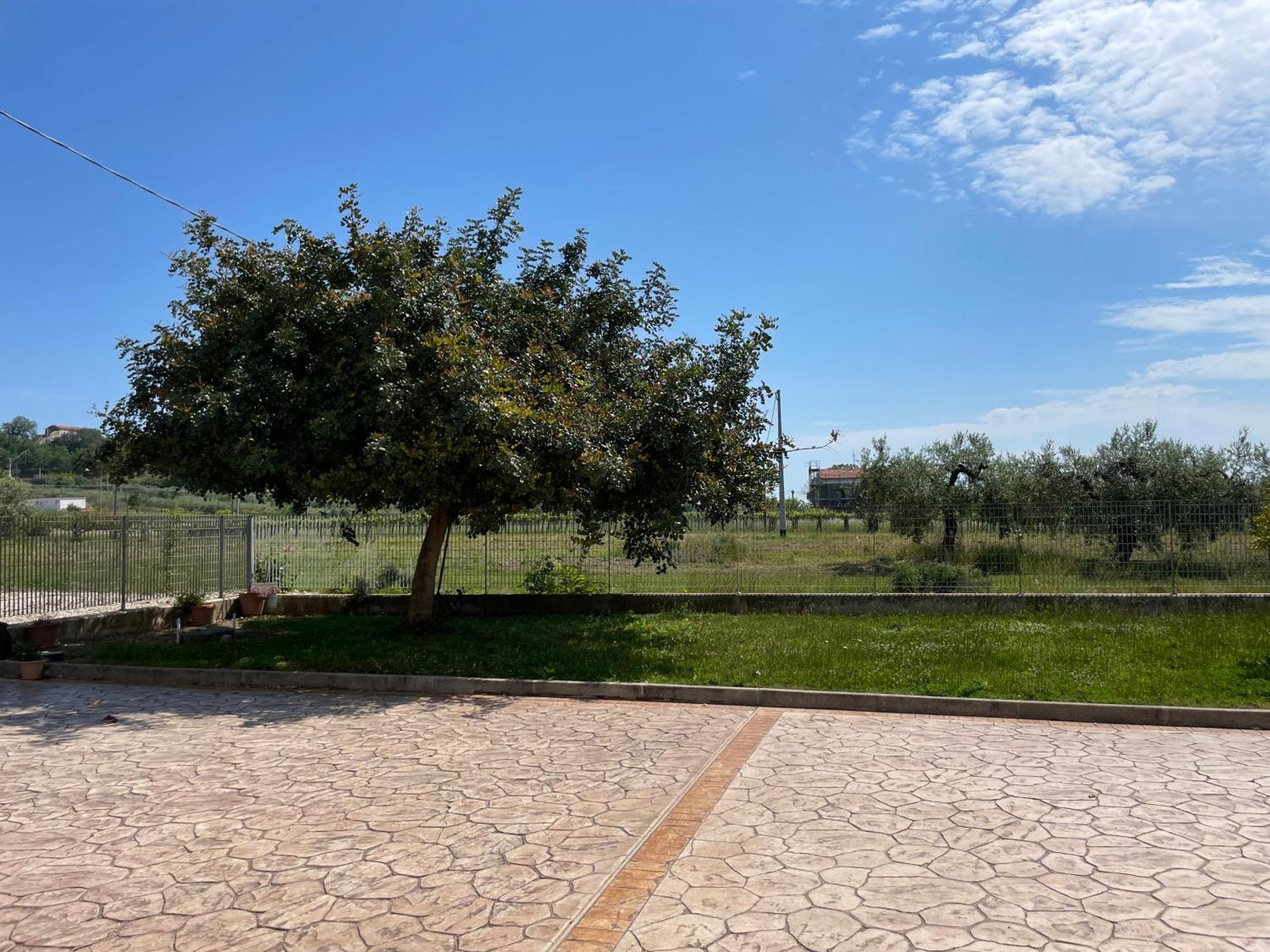 La Casa Di Michela Villa Torino di Sangro Eksteriør bilde